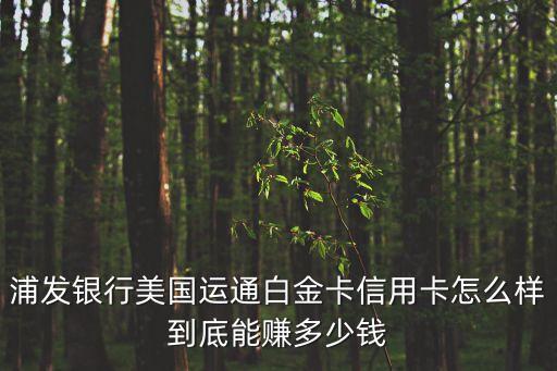 浦發(fā)銀行美國(guó)運(yùn)通白金卡信用卡怎么樣到底能賺多少錢