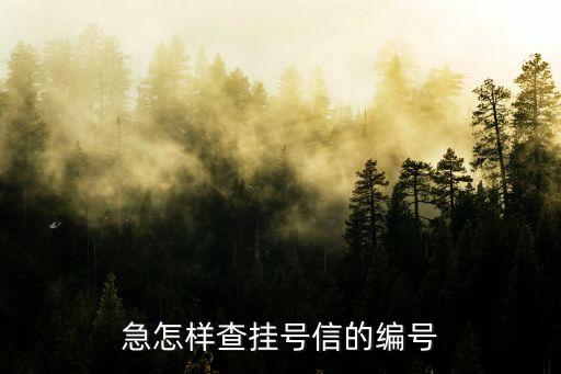 怎么查掛號信編碼，急怎樣查掛號信的編號