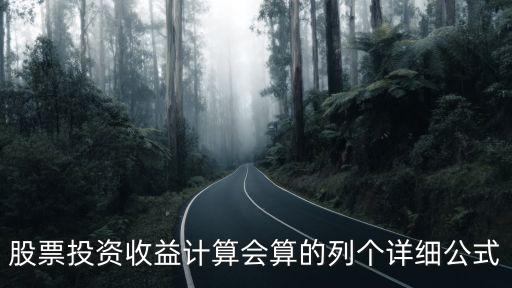 股票投資收益計(jì)算會(huì)算的列個(gè)詳細(xì)公式
