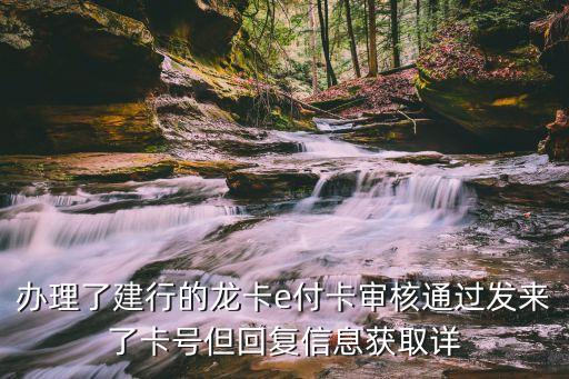 龍卡e付卡怎么填寫，龍卡E付卡能不能申請附屬卡