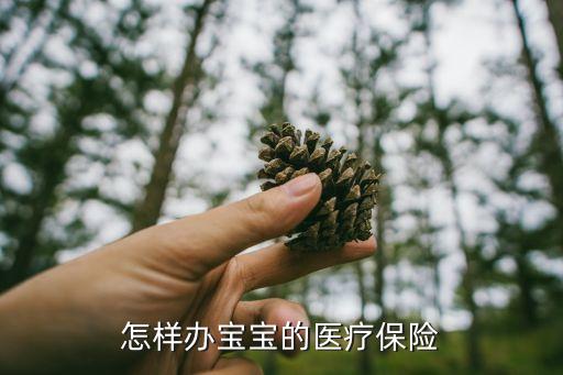 怎樣辦寶寶的醫(yī)療保險