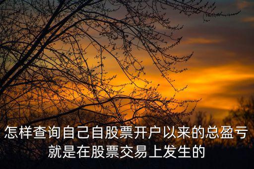 怎樣查詢自己自股票開戶以來的總盈虧就是在股票交易上發(fā)生的