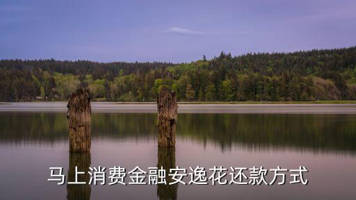 馬上消費金融安逸花還款方式