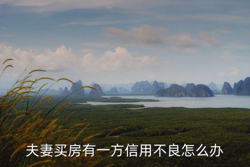 夫妻買房有一方信用不良怎么辦