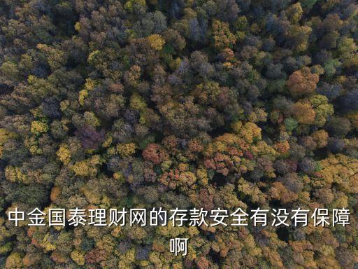 中金國(guó)泰理財(cái)網(wǎng)的存款安全有沒有保障啊