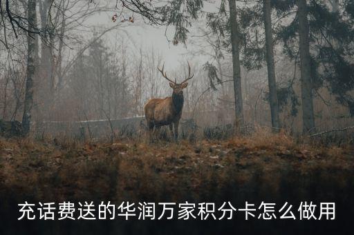 華潤積分怎么用，用華潤通積分的話是否是購物1元換取1個積分