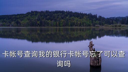 不記得銀行卡號(hào)怎么查，我銀行卡賬號(hào)記不清了 怎么查