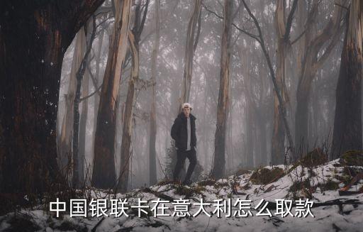 中國銀聯(lián)卡在意大利怎么取款