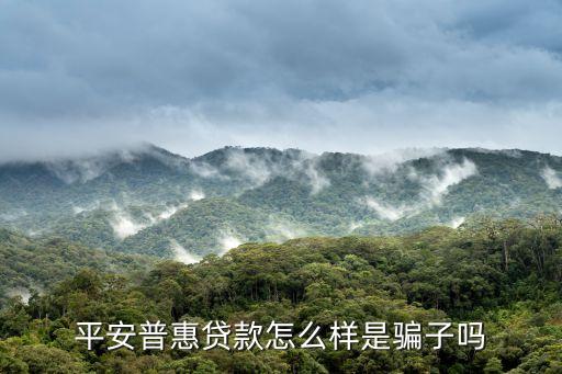 ?？谄桨财栈菰趺礃?，平安普惠貸款怎么樣是信的過的貸款公司嗎