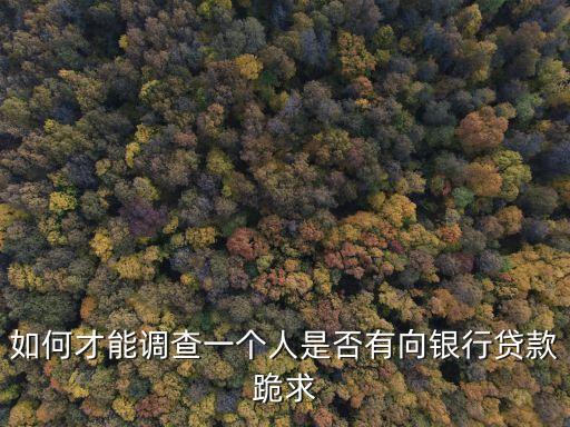 怎么問別人是否要房貸，如何才能調(diào)查一個人是否有向銀行貸款跪求