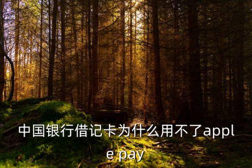 借記卡怎么不能用蘋(píng)果支付，為什么我的農(nóng)業(yè)銀行借記卡不能添加到apple pay