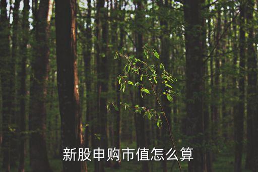 市值打新怎么算的，新股申購市值計算到底是怎么計算的啊