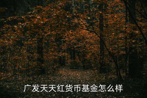 廣發(fā)天天紅貨幣基金怎么樣