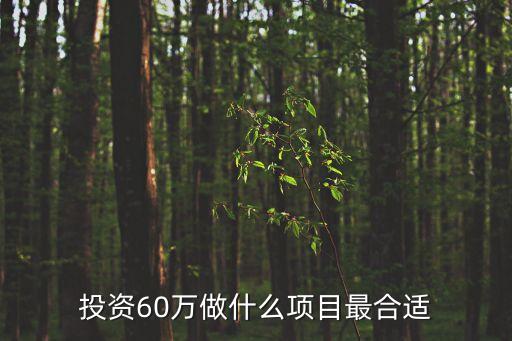 投資60萬做什么項(xiàng)目最合適