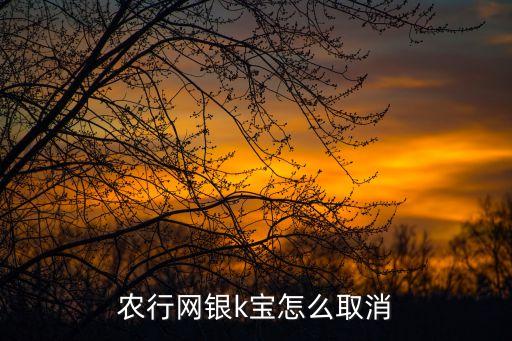 2017農(nóng)行k寶怎么取消，怎樣取消農(nóng)行k寶