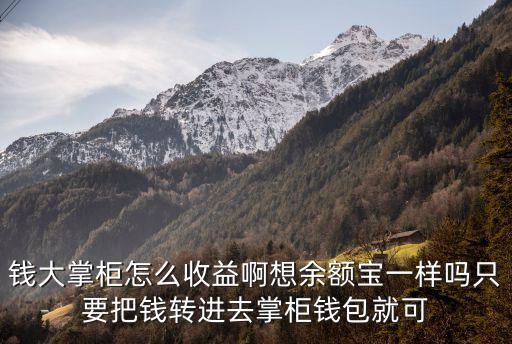 錢大掌柜怎么收益啊想余額寶一樣嗎只要把錢轉(zhuǎn)進去掌柜錢包就可