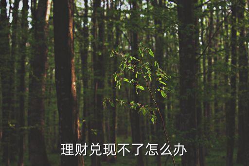理財兌現(xiàn)不了怎么辦