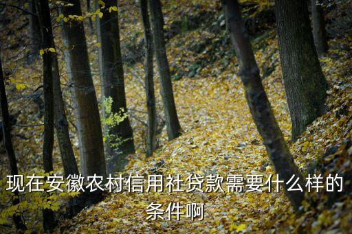 現(xiàn)在安徽農(nóng)村信用社貸款需要什么樣的條件啊