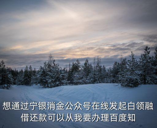 想通過(guò)寧銀消金公眾號(hào)在線發(fā)起白領(lǐng)融借還款可以從我要辦理百度知