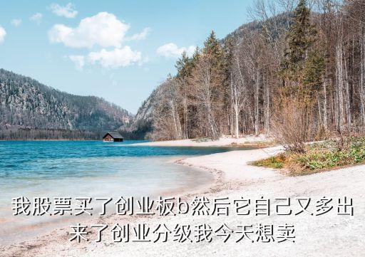 創(chuàng)作板分級(jí)基金怎么賣，怎樣買賣創(chuàng)業(yè)板指數(shù)