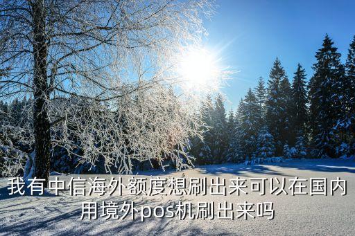 我有中信海外額度想刷出來可以在國內(nèi)用境外pos機刷出來嗎