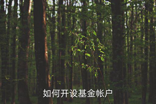 怎么開通基金賬戶，怎樣開基金帳戶