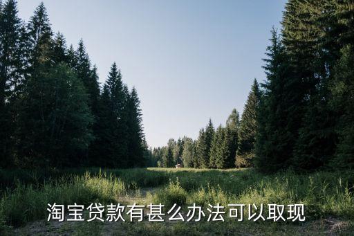 淘寶貸款有甚么辦法可以取現(xiàn)