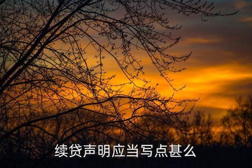 2014續(xù)貸聲明怎么寫，200字的生源地貸款續(xù)貸聲明怎么寫