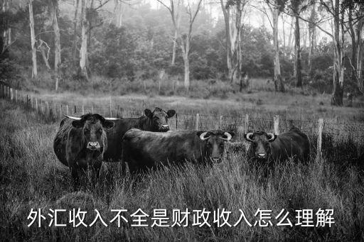 外匯收入不全是財(cái)政收入怎么理解