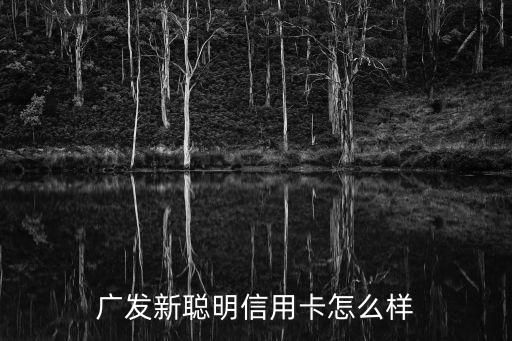 廣發(fā)聰明卡怎么樣，廣發(fā)新聰明信用卡怎么樣