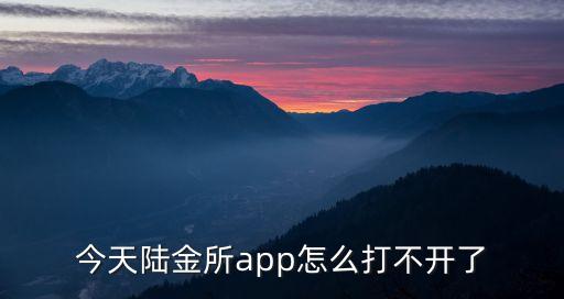 平安陸金所怎么打不開，今天陸金所app怎么打不開了