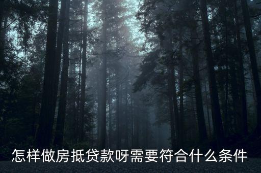 怎樣做房抵貸款呀需要符合什么條件