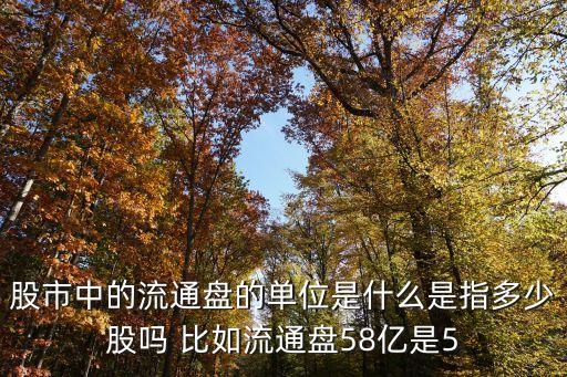 股市中的流通盤的單位是什么是指多少股嗎 比如流通盤58億是5