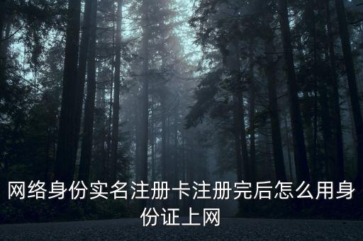 網(wǎng)絡(luò)身份注冊卡怎么用，網(wǎng)絡(luò)身份實名注冊卡注冊完后怎么用身份證上網(wǎng)