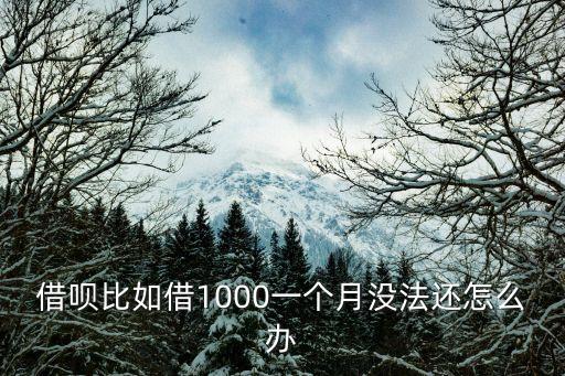 借唄比如借1000一個(gè)月沒(méi)法還怎么辦