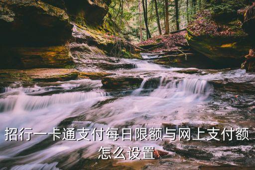 招商一卡通怎么改限額，招商一卡通如何調(diào)高POS機(jī)和ATM每日限額