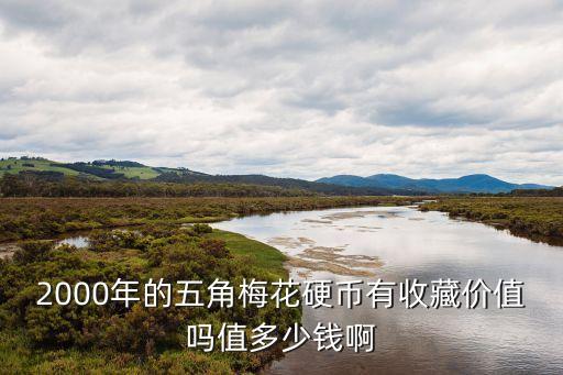 梅花硬幣怎么收藏，2000年的五角梅花硬幣有收藏價(jià)值嗎值多少錢(qián)啊