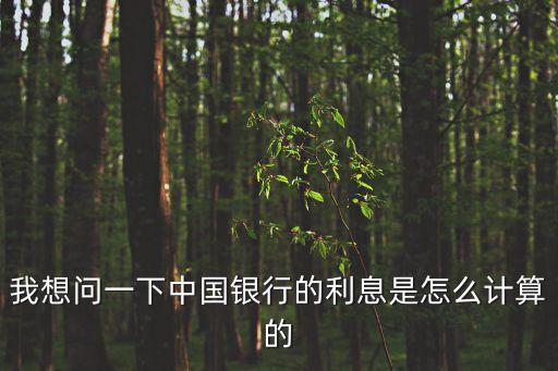 中行銀行利息怎么算，我想問一下中國銀行的利息是怎么計(jì)算的