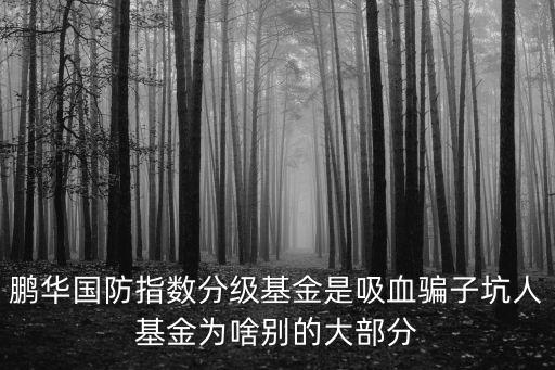 鵬華國(guó)防指數(shù)分級(jí)基金是吸血騙子坑人基金為啥別的大部分