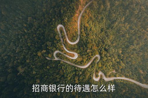 招商銀行的待遇怎么樣