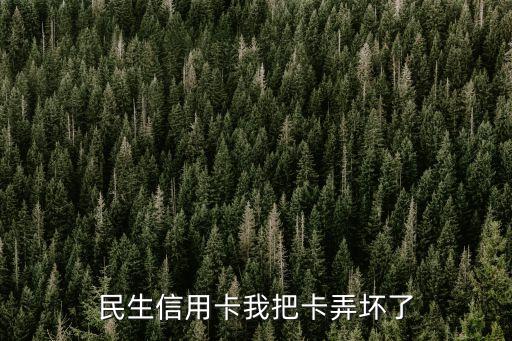 民生信用卡我把卡弄壞了