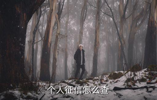 個(gè)人征信怎么查