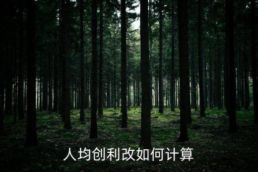 人均創(chuàng)利改如何計(jì)算