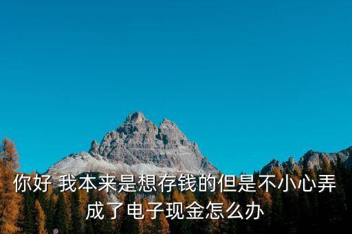 你好 我本來是想存錢的但是不小心弄成了電子現(xiàn)金怎么辦
