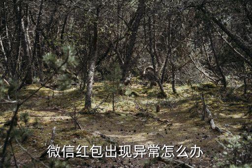 微信紅包出現(xiàn)異常怎么辦