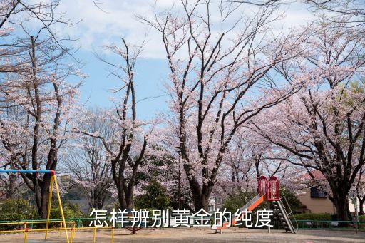 怎樣辨別黃金的純度