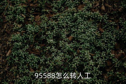 95588怎么轉(zhuǎn)人工