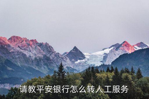 請教平安銀行怎么轉(zhuǎn)人工服務(wù)
