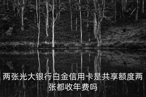 光大銀行信用卡2張年費(fèi)怎么收，兩張光大銀行白金信用卡是共享額度兩張都收年費(fèi)嗎