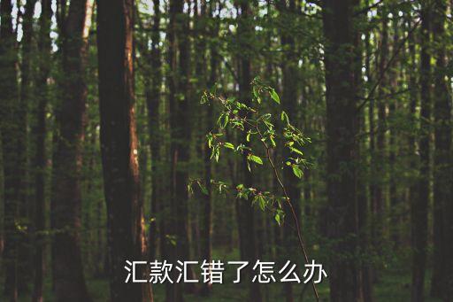 匯款匯錯(cuò)了怎么辦